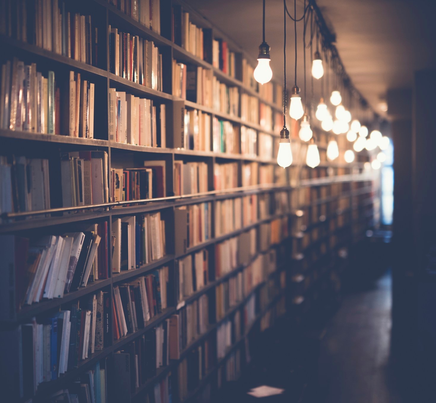 Understanding the Core of WordPress Development